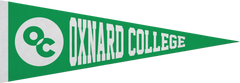 5" x 15" Pennant
