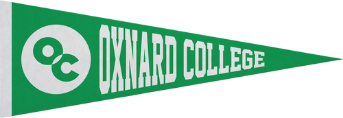 5" x 15" Pennant